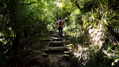 female walking on steps in rainforest, outdoor walking activity