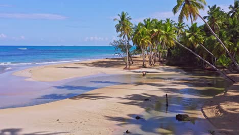 aerial drone view of people walking in shallow water at a tropical beach in las terrenas, dr