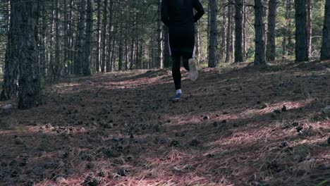 hombre corriendo por el bosque a cámara lenta