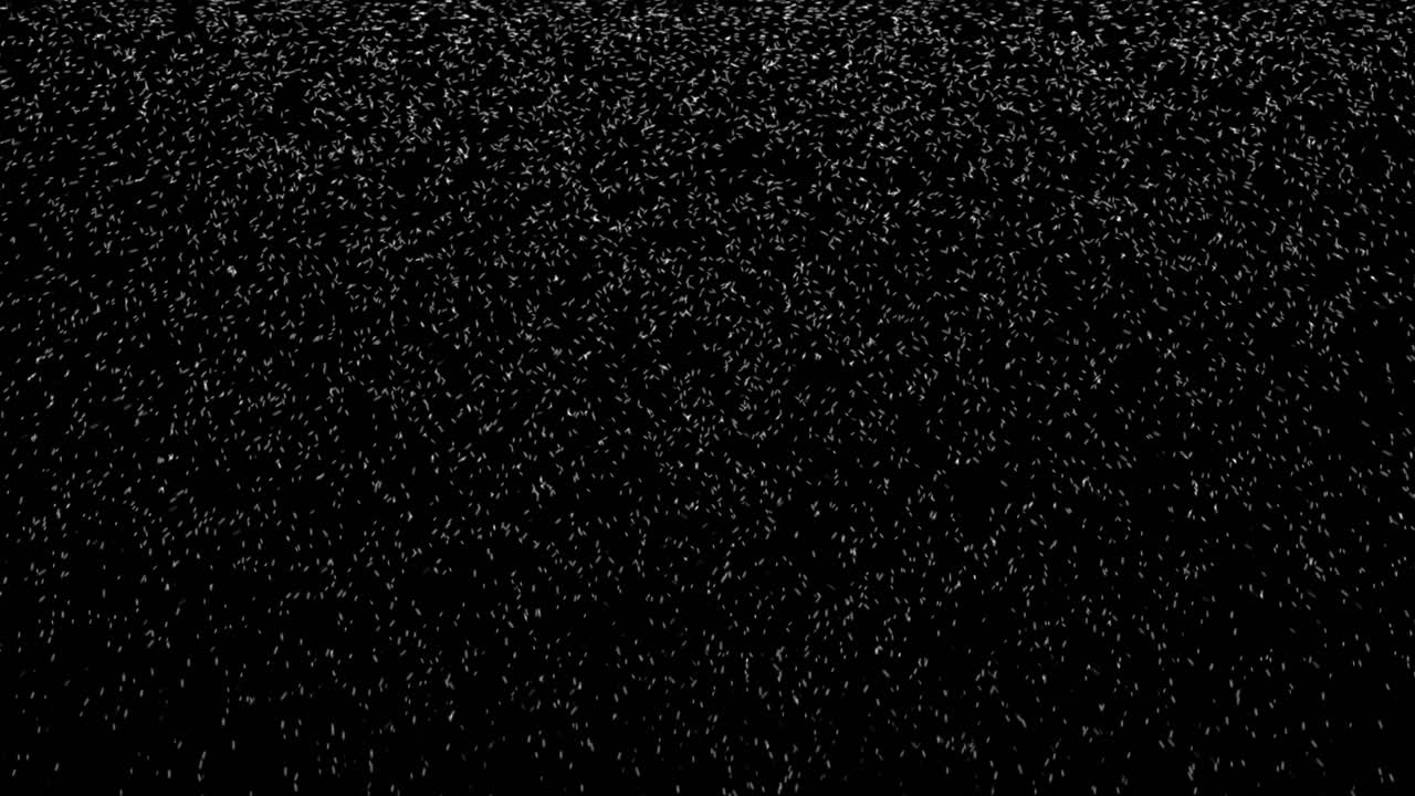 Centinaia di particelle di neve che si intrecciano mentre cadono a terra su sfondo nero. Tema astratto e festivo per Natale