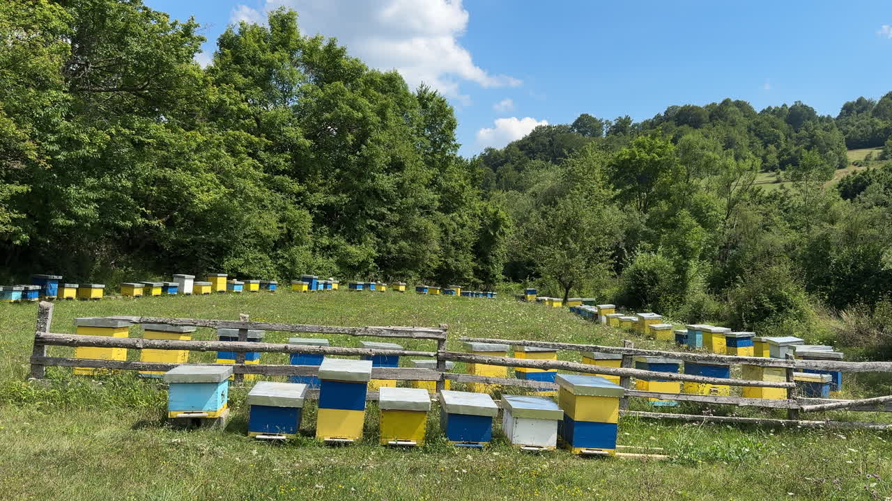 Beehives in a Rural Meadow