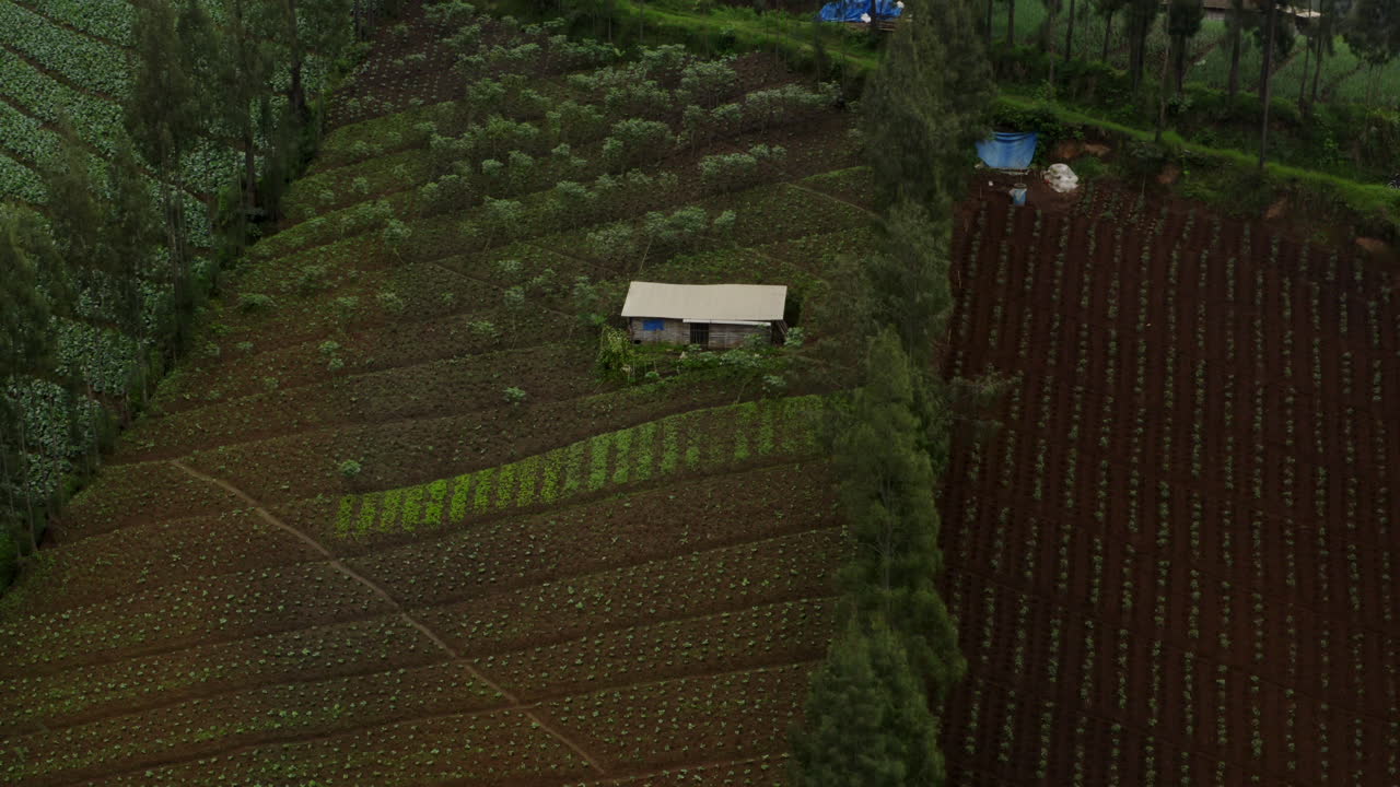 Mountain farm in Cemoro Lawang, Indonesia. Drone shot of fields and small home