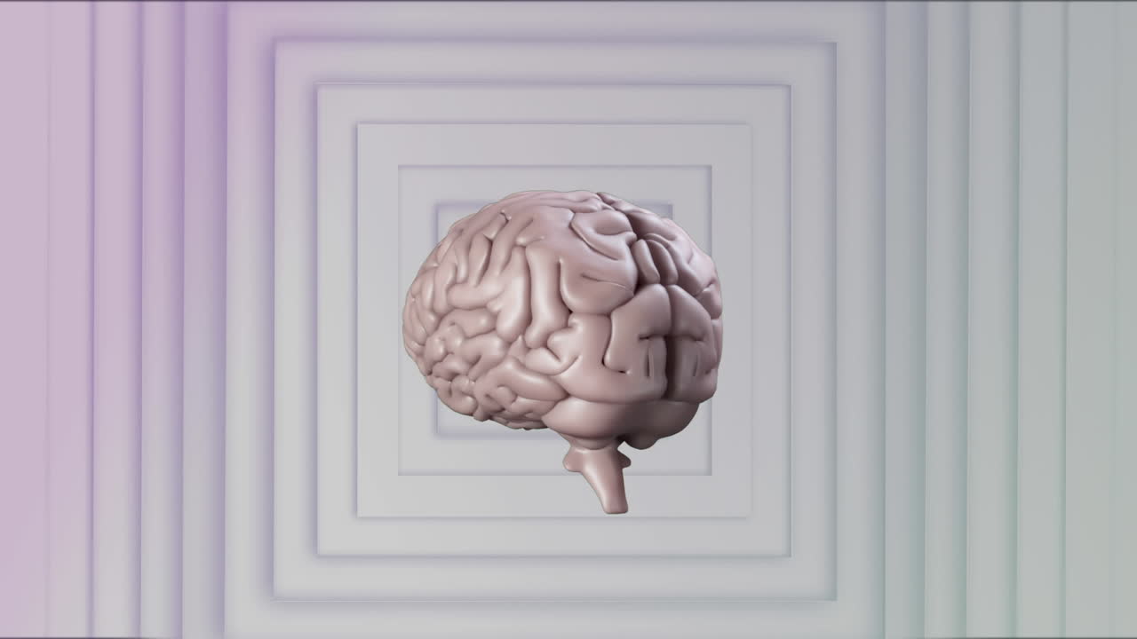 cerebro humano girando contra cuadrados concéntricos en fondo blanco