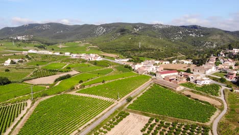 Aerial:-town-among-green-vineyards