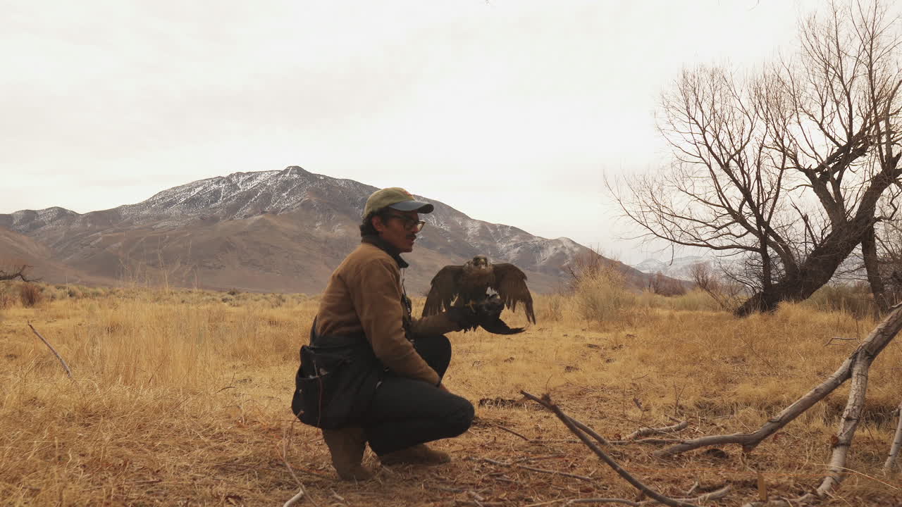 Addestratore che impartisce istruzioni a un rapace durante un addestramento di falconeria