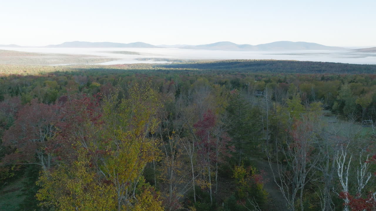 vista aérea del bosque de otoño con niebla del valle y montañas lejanas