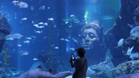 person filming marine life in a large aquarium