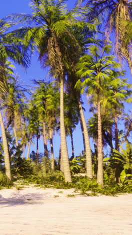 tropical beach paradise with palm trees