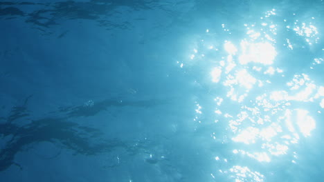 Light-playing-through-the-ocean-surface-seen-from-below