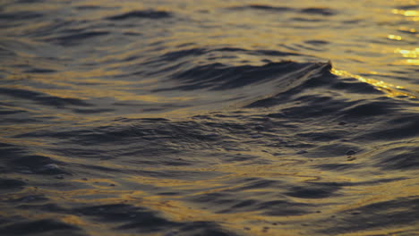 las olas doradas