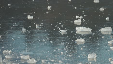 the low winter sun's rays dance on the ice shards covering the frozen pond, illuminating the scene beautifully