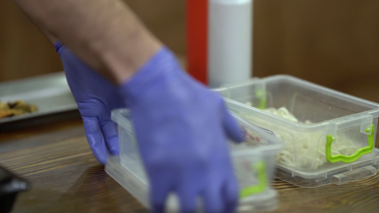 proceso de trabajo de cocción y preparación de ingredientes para ser cocinados