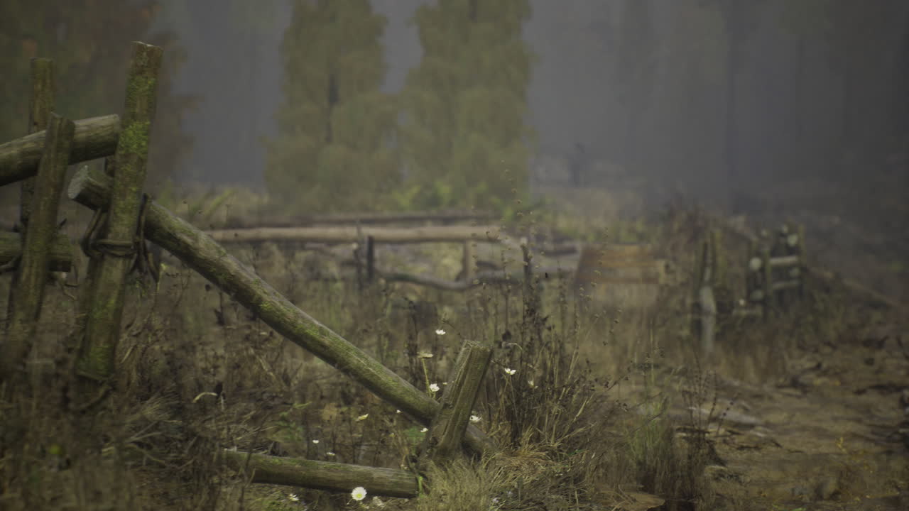 Misty morning landscape with wooden fence and rustic barrel in countryside