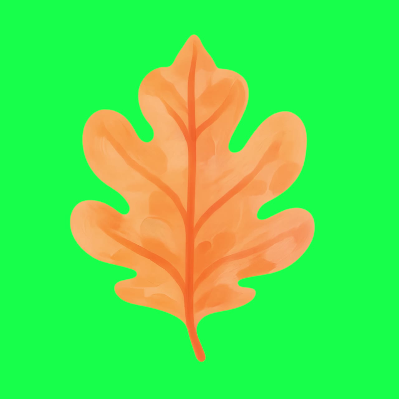 Vibrant autumn oak leaf illustration animation, transparent 4K video, green screen