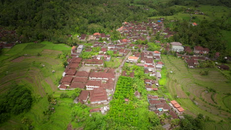 paralaje aéreo de la aldea de bali en la ladera de la colina por campos de arroz en terrazas