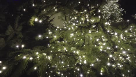 slow motion shot of christmas tree