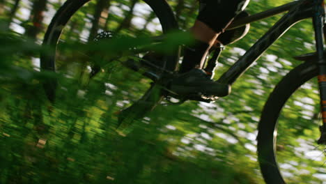 mountain biker on a forest trail