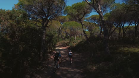 Woman-and-man,-two-young-persons-cycling-with-racing-bikes-in-a-forest