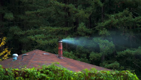 timelapse of chimney smoke from house in the woods