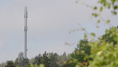 Rack-focus-from-tree-foliage-to-steel-5G-radio-mast-towering-above-treeline