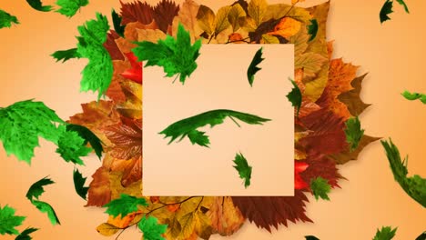 Animation-of-multiple-autumn-leaves-falling-on-brown-background