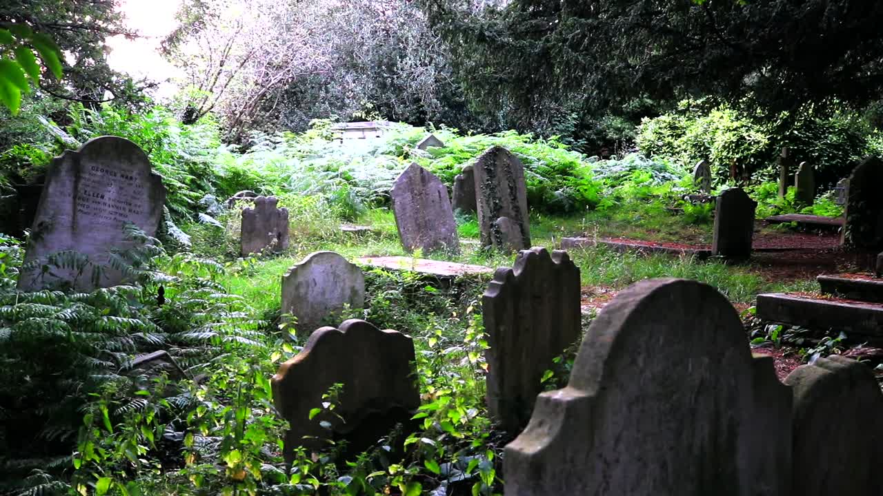 St Johns Hampstead Church Graveyard mossy tombstones foreground and background with Zoom