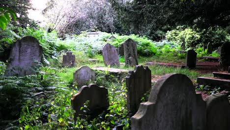 st johns hampstead church graveyard mossy tombstones foreground and background with zoom