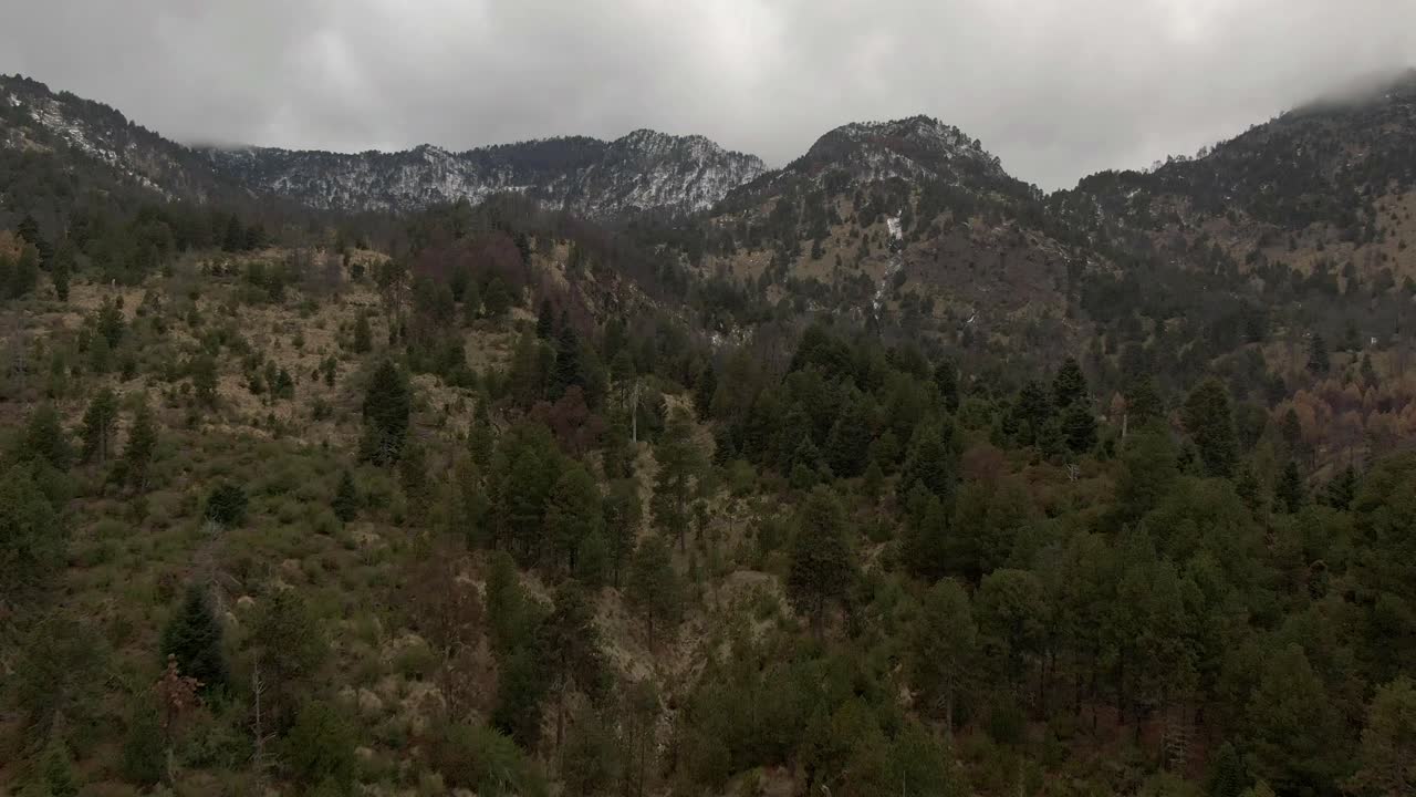 parque nacional nevado de colima con bosques de pinos y montañas volcánicas en el oeste de méxico