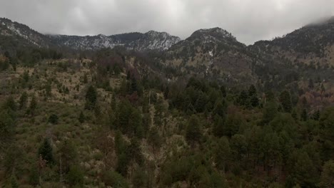 Nevado-de-Colima-National-Park-With-Pine-Woods-And-Volcanic-Mountains-In-Western-Mexico