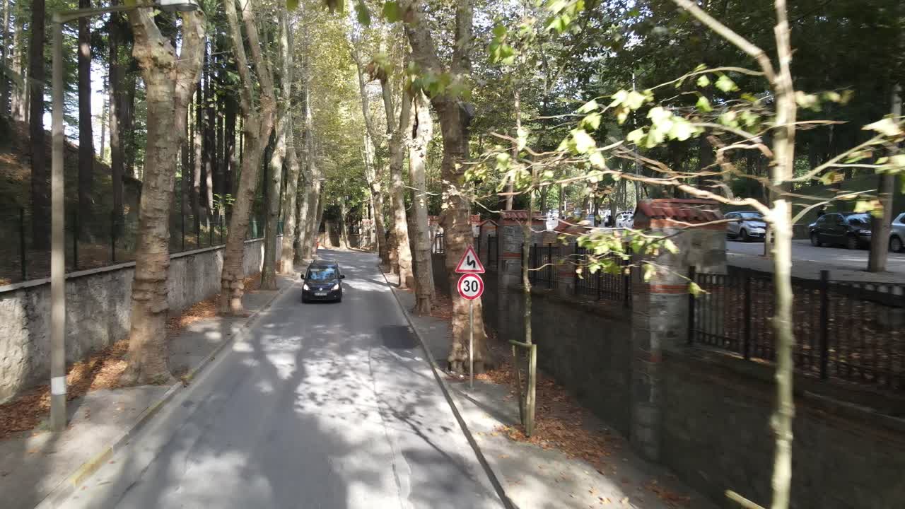 조감도 드론 샷 나무 도로 도시 자동차 교통