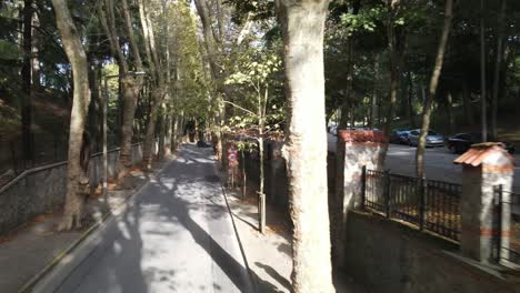 Aerial-View-Drone-Shot-Tree-Road-City-Car-Traffic