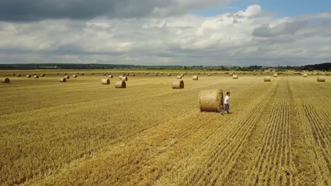Happy Child In Field. Adorable kid boy spending time in a field with straw