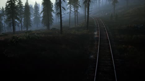 national forest recreation area and the fog with railway