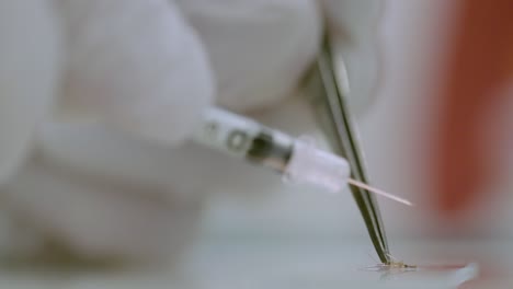 extreme close-up of a syringe being used to inject or extract fluids from a malaria mosquito specimen on a microscope slide.