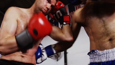 two boxers practicing in boxing ring