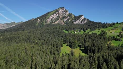 blue sky and sunny day in swiss alps mountain pine wood tree forest highlands of europe nature and rural houses wood material traditional architecture design indigenous people living scenic landscape