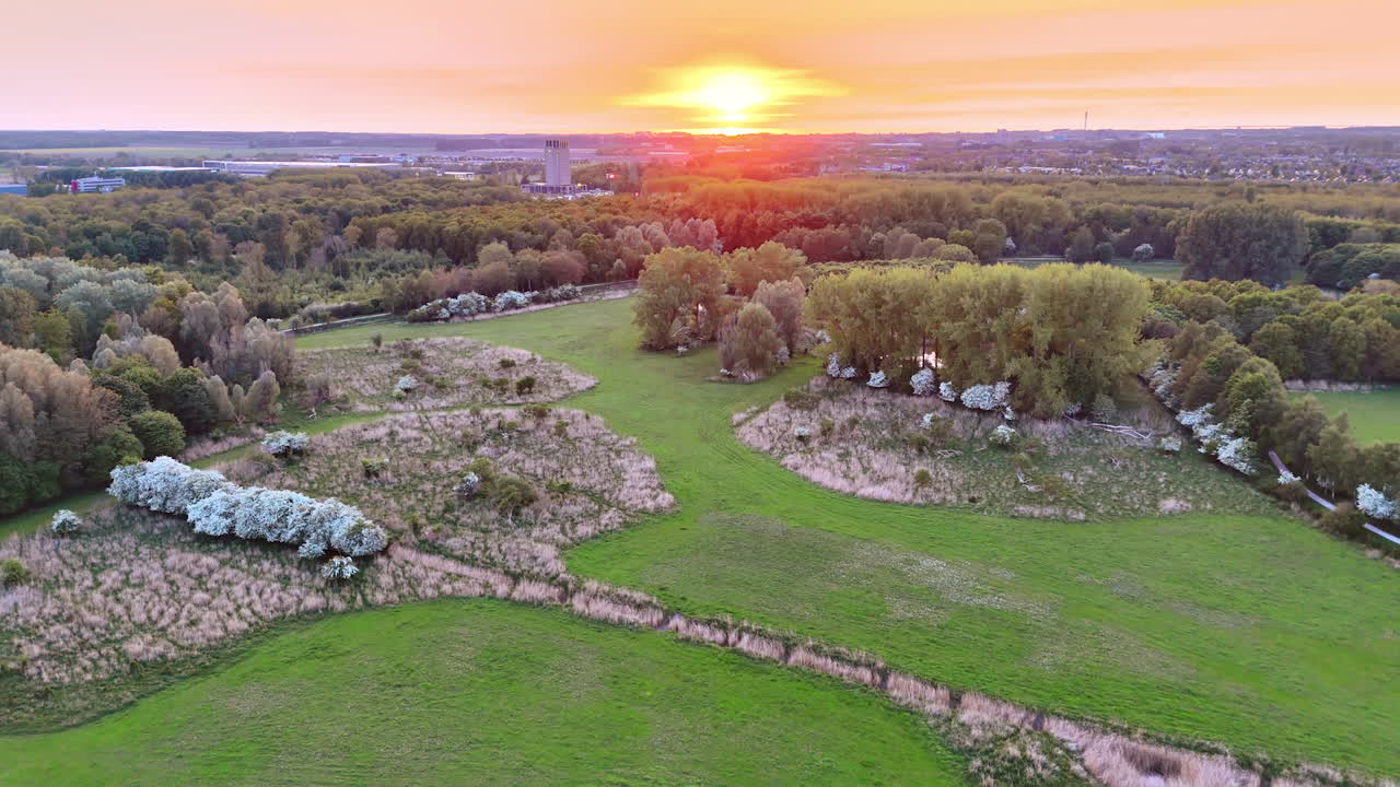 Flying above the meadow surrounded by green woods. Setting sun in the pink sky at backdrop.
