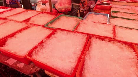 workers arranging crushed ice for seafood preservation