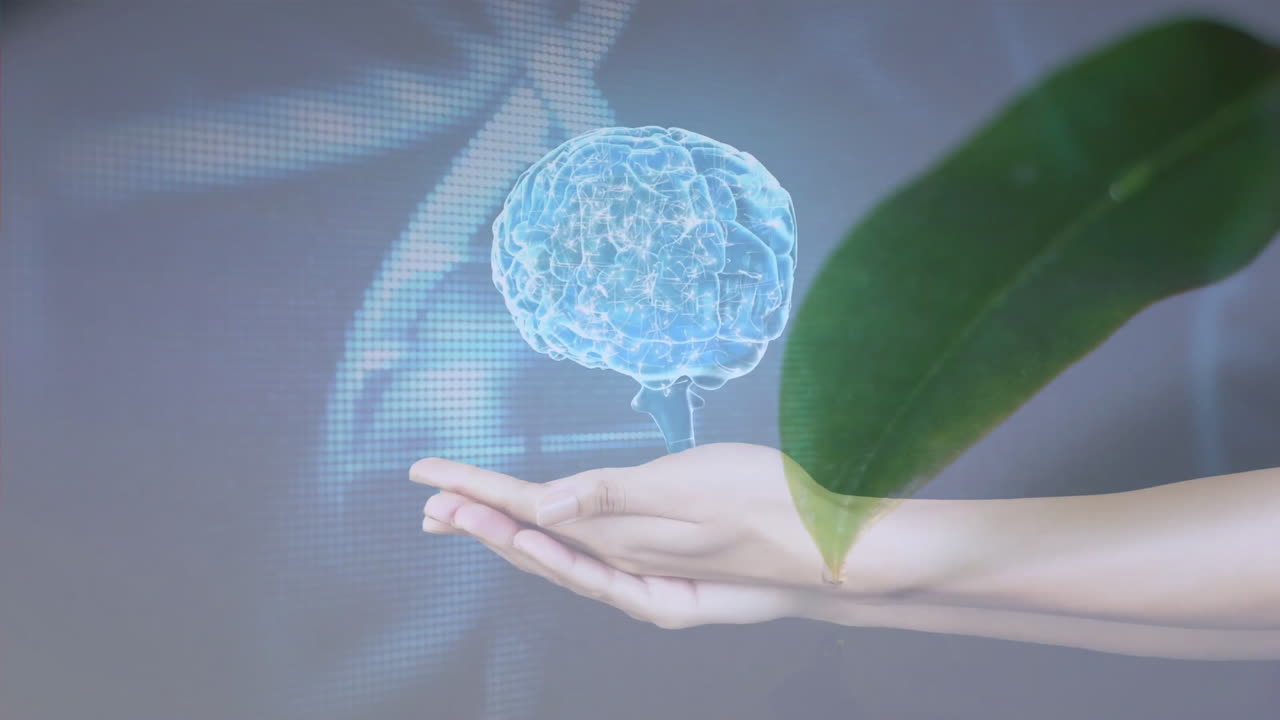 Holding digital brain hologram with green leaf overlay in school animation setting