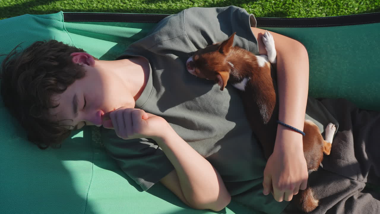 Young Boy and Chihuahua Puppy Sleeping Peacefully on a Green Hammock