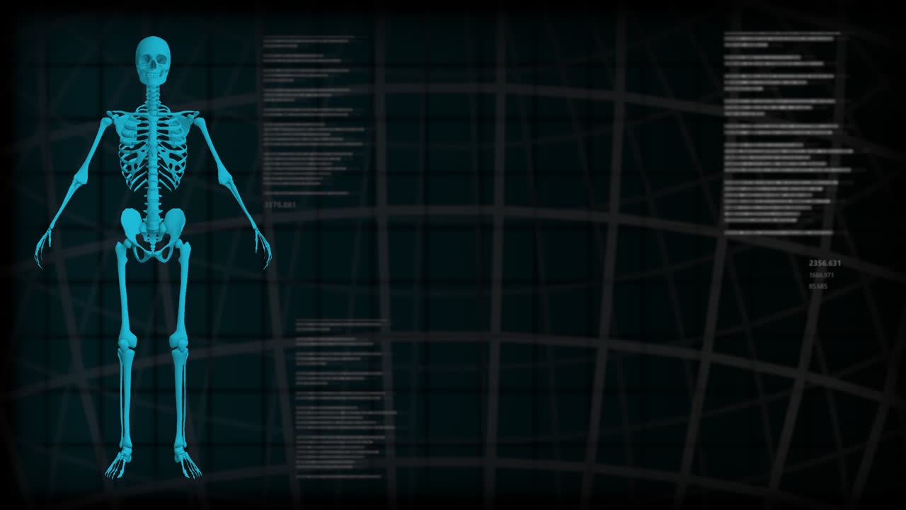 Medical seamless looping background with skeleton rotating and digital text effects for overlay or backdrop use with place for yor content - 4K 60fps UHD 3D animation