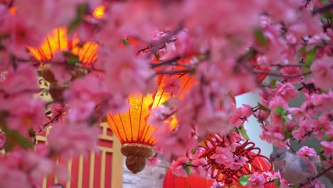 Linterna-Roja-Decorada-Con-Flor-De-Ciruelo-Artificial.