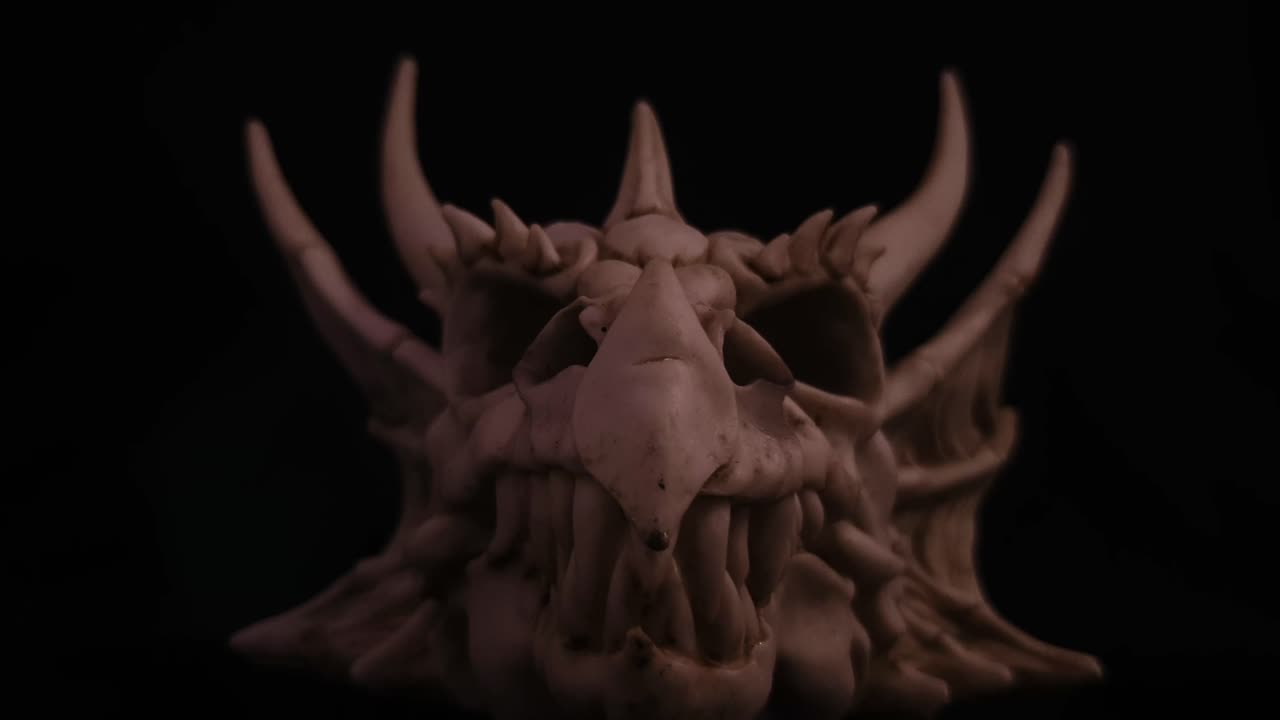 신화 용의 머리