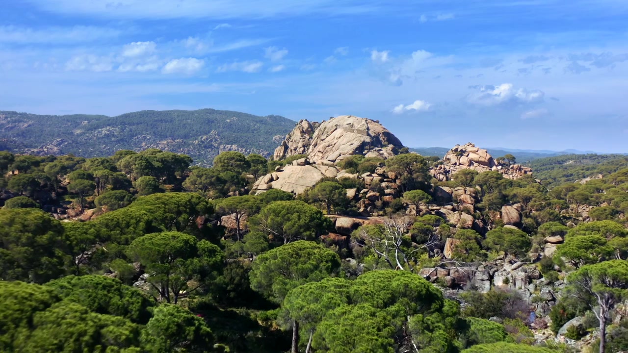 Natura selvaggia e incontaminata della Turchia. Montagne e valle di Latmos o Besparmak con fitta pineta e rocce. Ripresa aerea. 4K