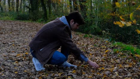 yellow leaves man