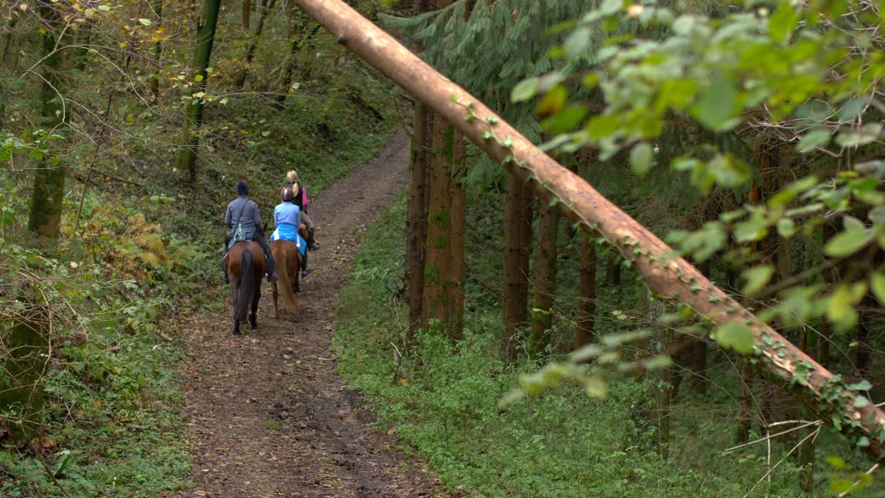 tres personas montando a caballo en el bosque