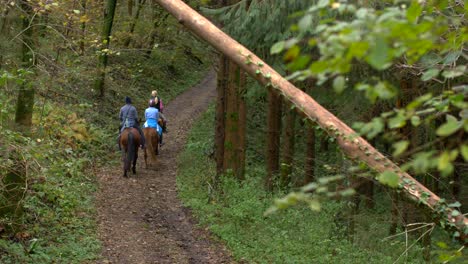 tres personas montando a caballo en el bosque