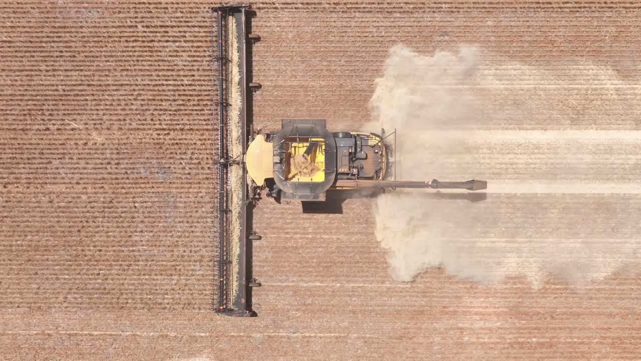 este material captura la sinergia de la tecnología agrícola moderna, mostrando el papel esencial de los frentes de cabecera en el proceso de cosecha de trigo