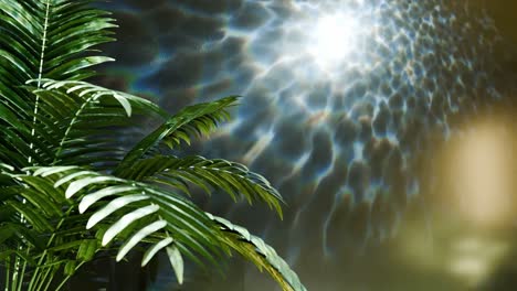 tropical serenity: ferns by the water black