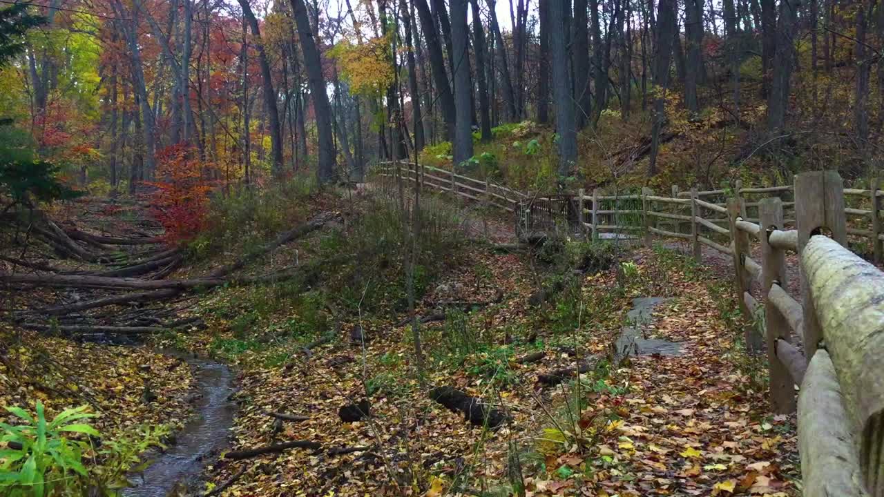 toma amplia de barranco con colores otoñales y sendero cuando ocurre la primera nevada ligera de la temporada